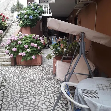 Sandra Budva
